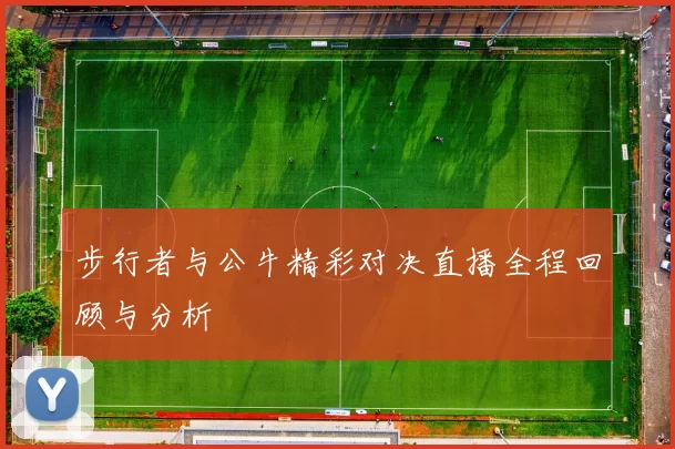 步行者与公牛精彩对决直播全程回顾与分析