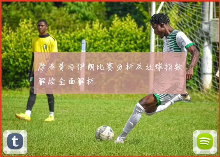 摩洛哥与伊朗比赛分析及让球指数解读全面解析