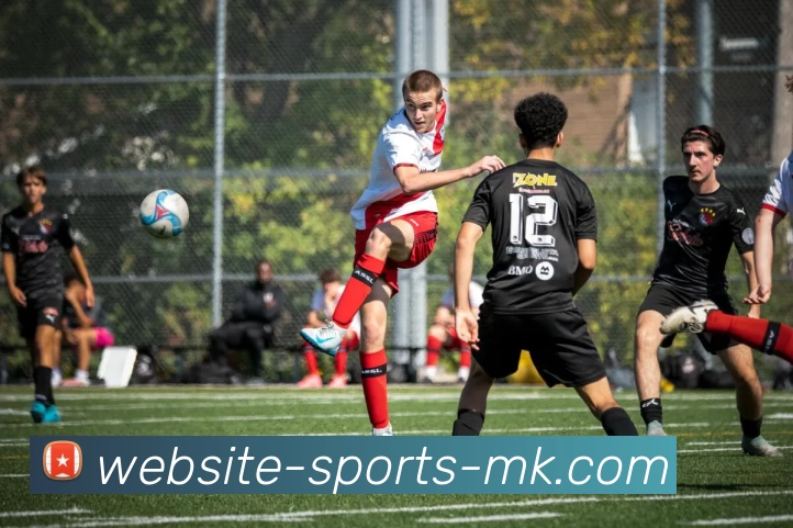 MK体育服务体系